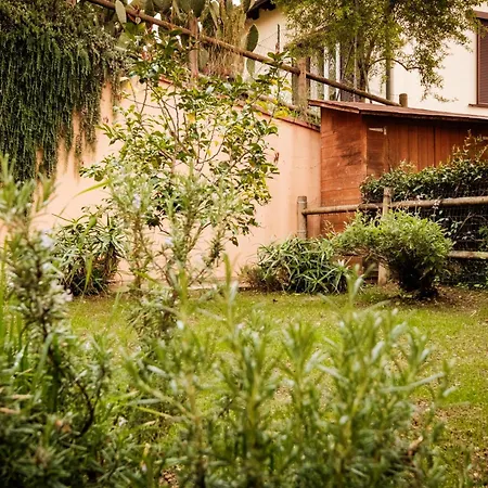 - Con Terrazzo Vista Mare E Giardino Apartament *